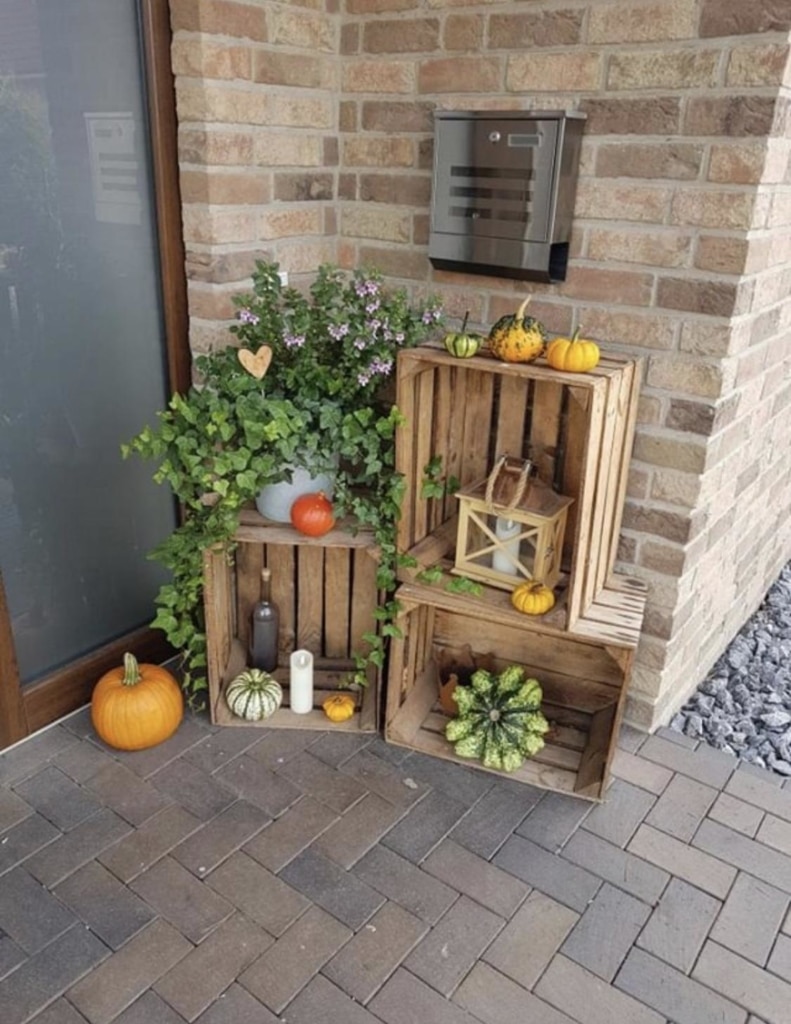 Obstkiste Anker 50x40x30cm Holzkisten Shop
