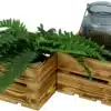 kleine-holzkiste-deko-kiste-geschenkkiste-geflammt-flammbiert