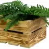 kleine-holzkiste-deko-kiste-geschenkkiste-geflammt-flammbiert